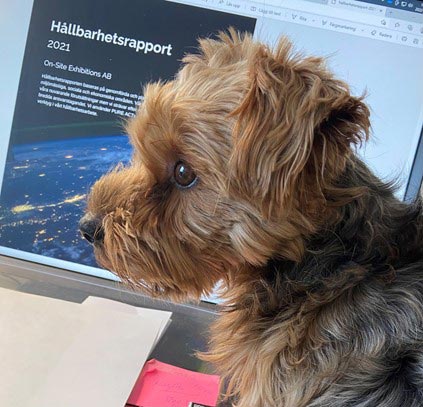 Hållbarhetsrapport och hund